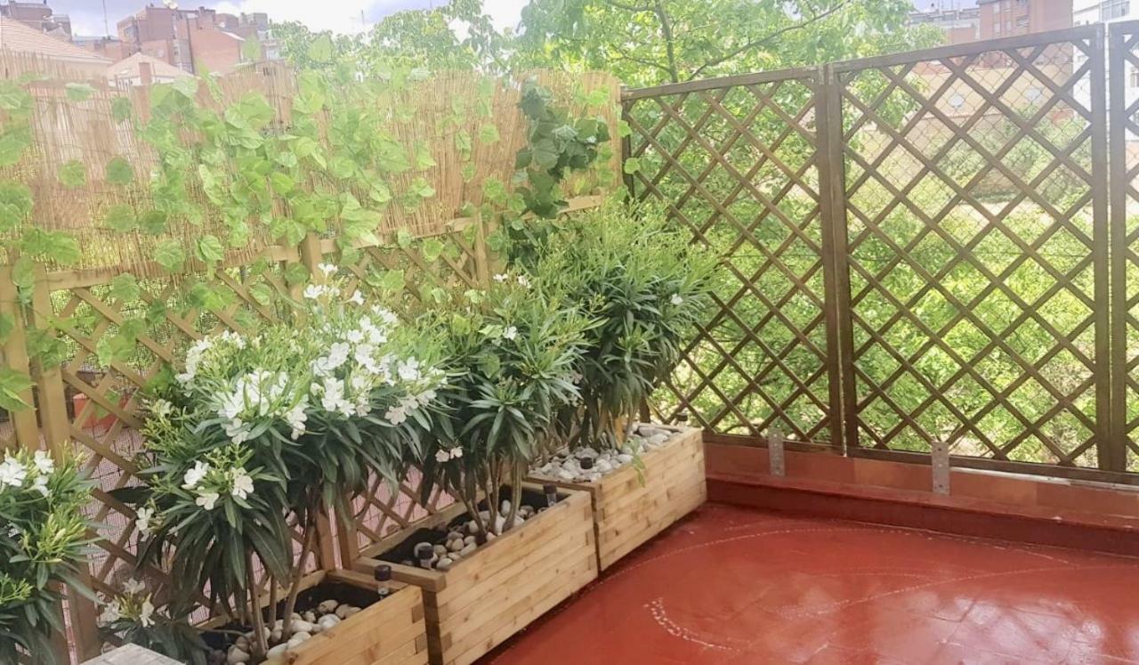 Apartamento San Quirce - Centrico Y Reformado- Wifi Y Netflix Valladolid Eksteriør bilde