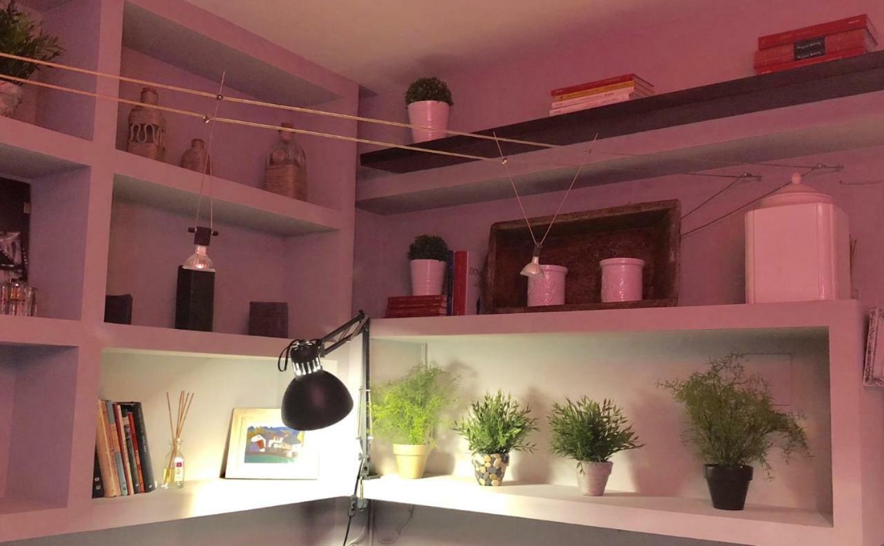 Apartamento San Quirce - Centrico Y Reformado- Wifi Y Netflix Valladolid Eksteriør bilde